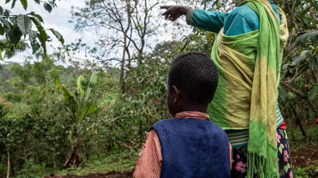 In immer mehr Ländern sind Kinder vor der weltweit häufigsten Augenerkrankung geschützt - Bild: presseportal.de