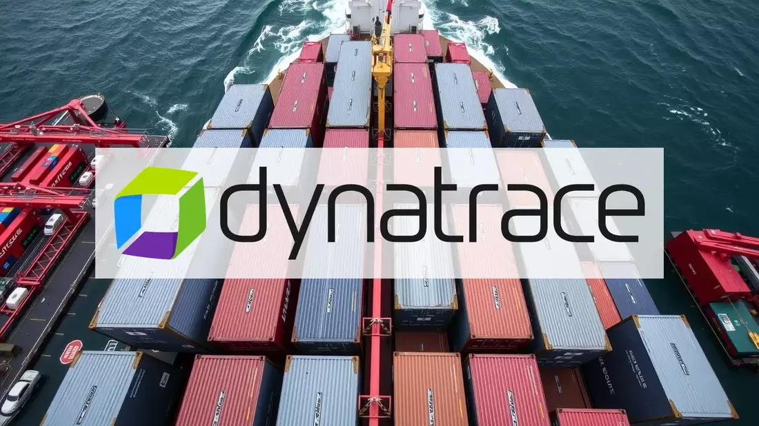 Dynatrace Shares Regain Footing Amid Sector Reassessment - Bild: über boerse-global.de