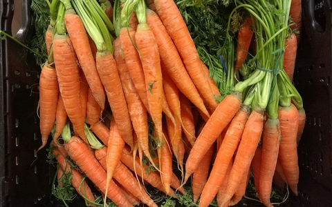 Möhren (Archiv) - Foto: via dts Nachrichtenagentur