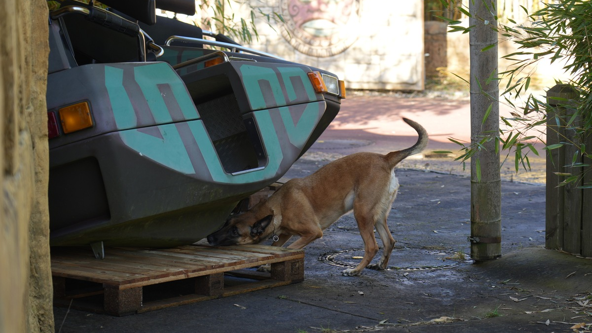 ZPD-H: Tag der Super-Spürnasen im Heide Park Resort - Foto: presseportal.de