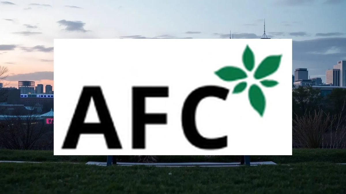 AFC Gamma Aktie: Fokus auf Stabilität - Foto: über boerse-global.de