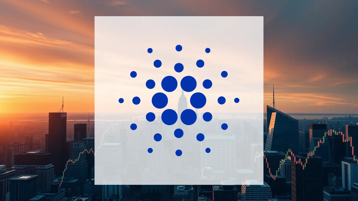Cardano's Price Surge Fueled by Major Investor Accumulation - Foto: über boerse-global.de