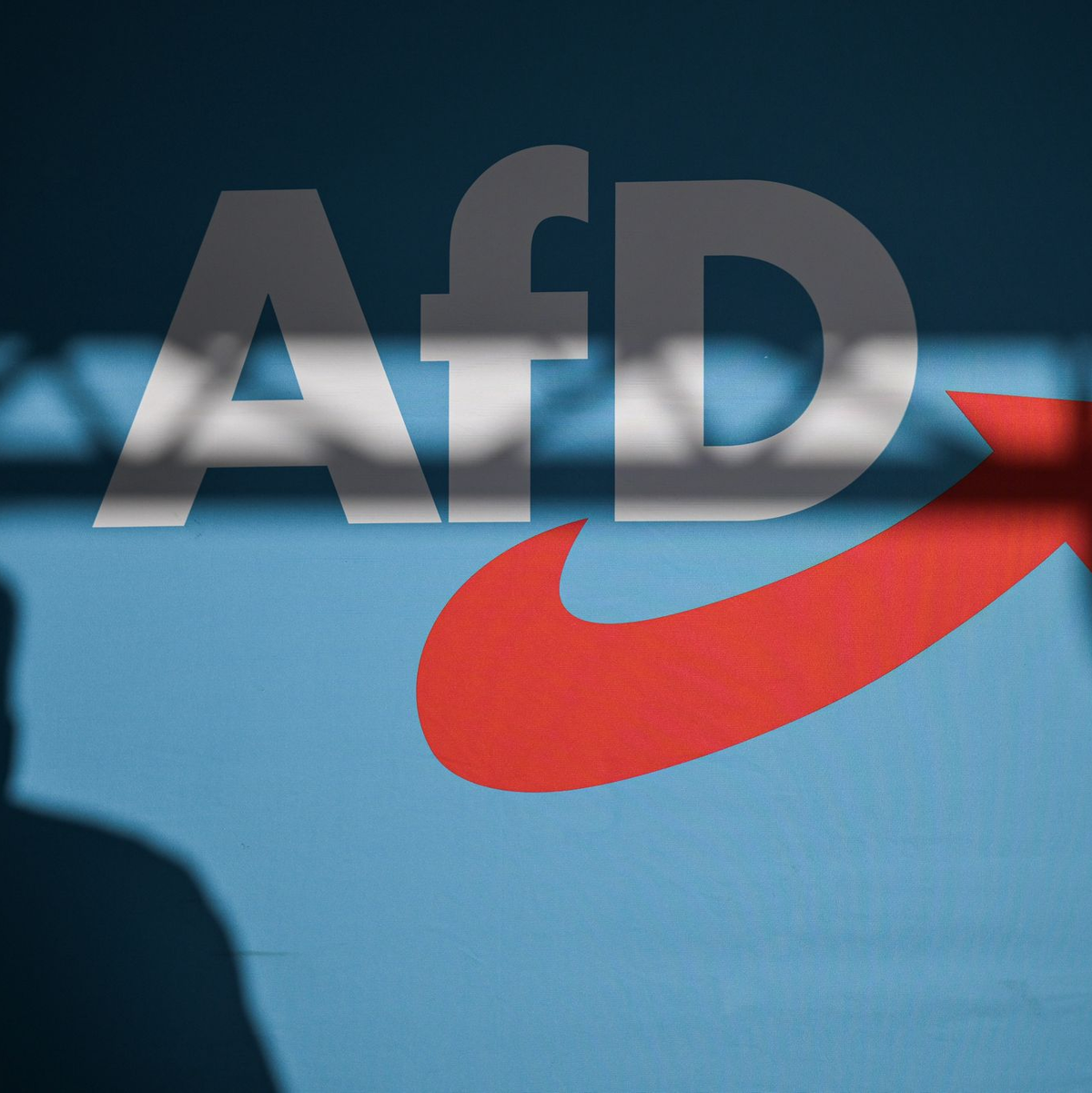 Die AfD wird vorläufig weiter als Verdachtsfall geführt. Mit ihrem Eilantrag gegen eine Höherstufung hatte sie vor Gericht Erfolg. (Symbolbild) - Foto: Hannes P Albert/dpa