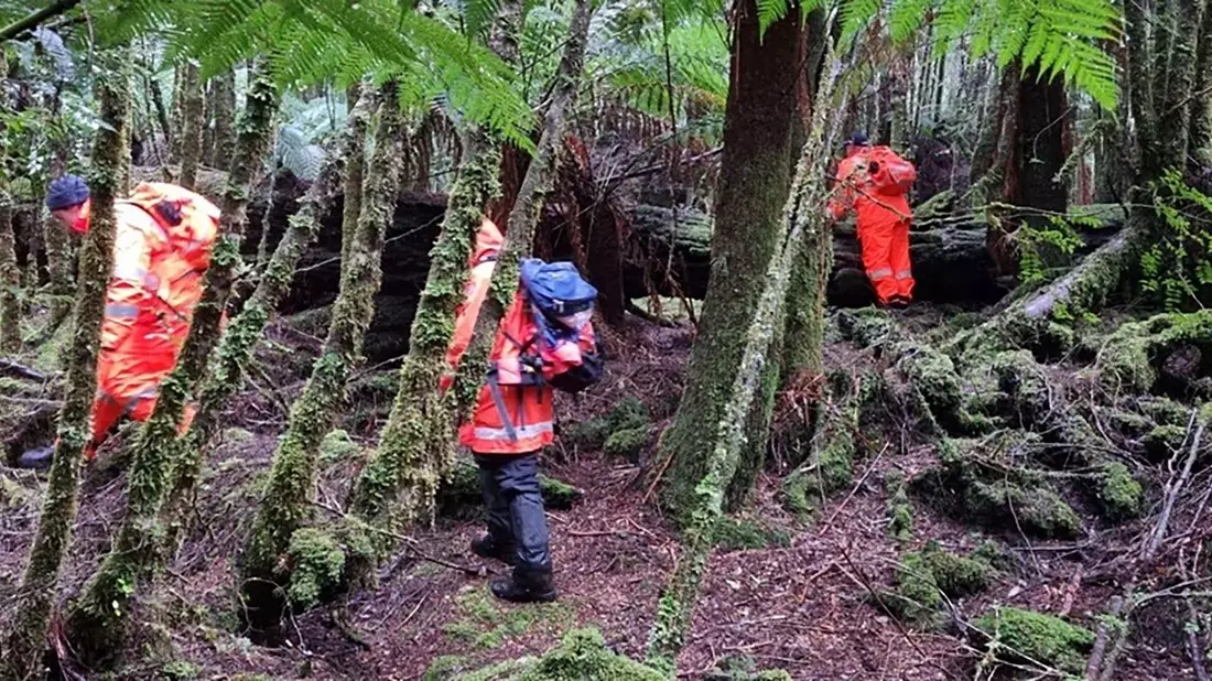 Einsatzkräfte suchten 2023 die dichten Wälder Tasmaniens nach der 31-Jährigen ab. (Archivbild) - Bild: Supplied/TASMANIA POLICE/AAP/dpa