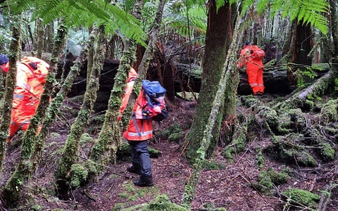 Einsatzkräfte suchten 2023 die dichten Wälder Tasmaniens nach der 31-Jährigen ab. (Archivbild) - Foto: Supplied/TASMANIA POLICE/AAP/dpa