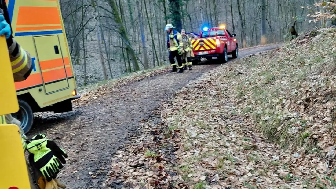 FW Weinheim: Schwerer Reitunfall im Wald - Einsatzkräfte retten Patientin unter schwierigen Bedingungen - Bild: presseportal.de