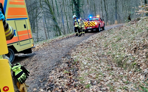 FW Weinheim: Schwerer Reitunfall im Wald - Einsatzkräfte retten Patientin unter schwierigen Bedingungen - Foto: presseportal.de