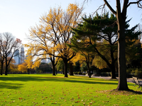 Adani Green Aktie: Globale Expansion - Foto: über boerse-global.de