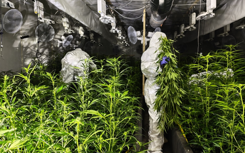POL-UN: Bergkamen - Polizei entdeckt Cannabisplantage in Lagerhalle - Foto: presseportal.de