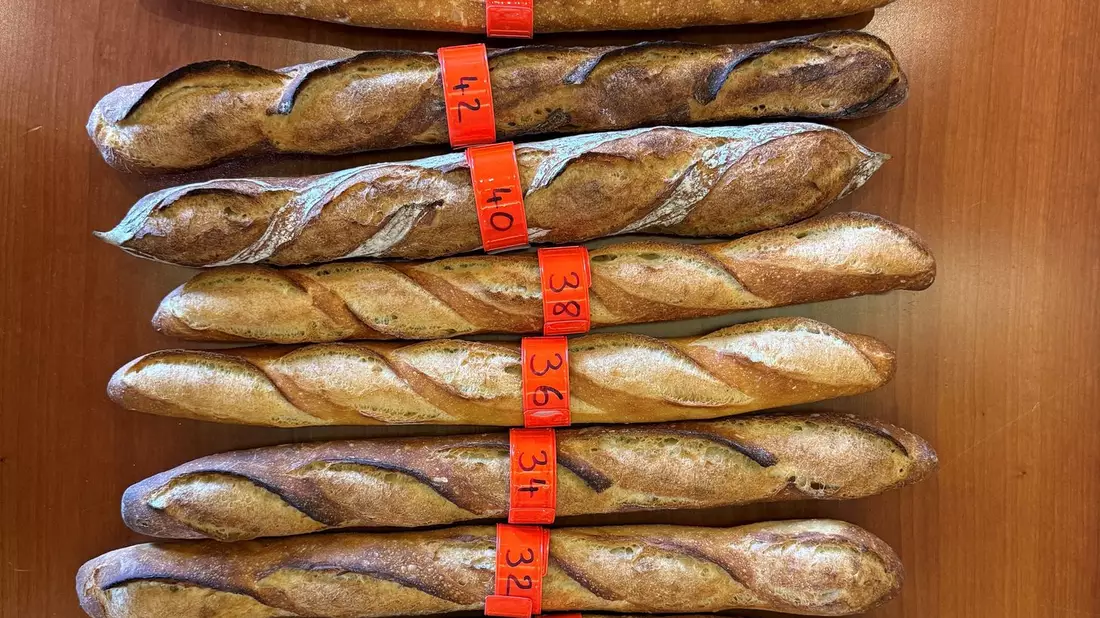 Für den Grand Prix de la Baguette wurden die Brote nach Kriterien wie Geschmack, Geruch, Kruste und Textur beurteilt. - Bild: Michael Evers/dpa