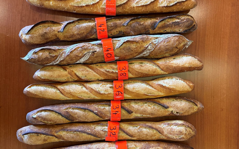 Für den Grand Prix de la Baguette wurden die Brote nach Kriterien wie Geschmack, Geruch, Kruste und Textur beurteilt. - Foto: Michael Evers/dpa