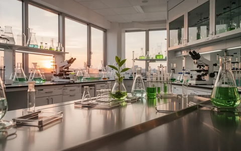 Bachem Aktie: Bodenbildung läuft - Foto: über boerse-global.de