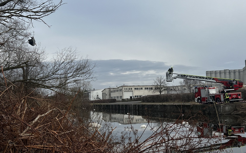 POL-NB: Tierischer Einsatz für Polizei und Feuerwehr in Malchin (LK MSE) - Foto: presseportal.de