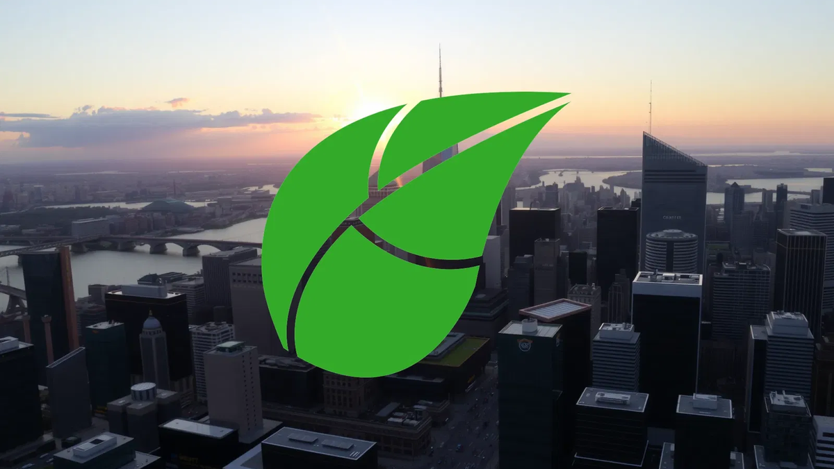 Tigo Energy Aktie: Starkes Wachstum - Foto: über boerse-global.de