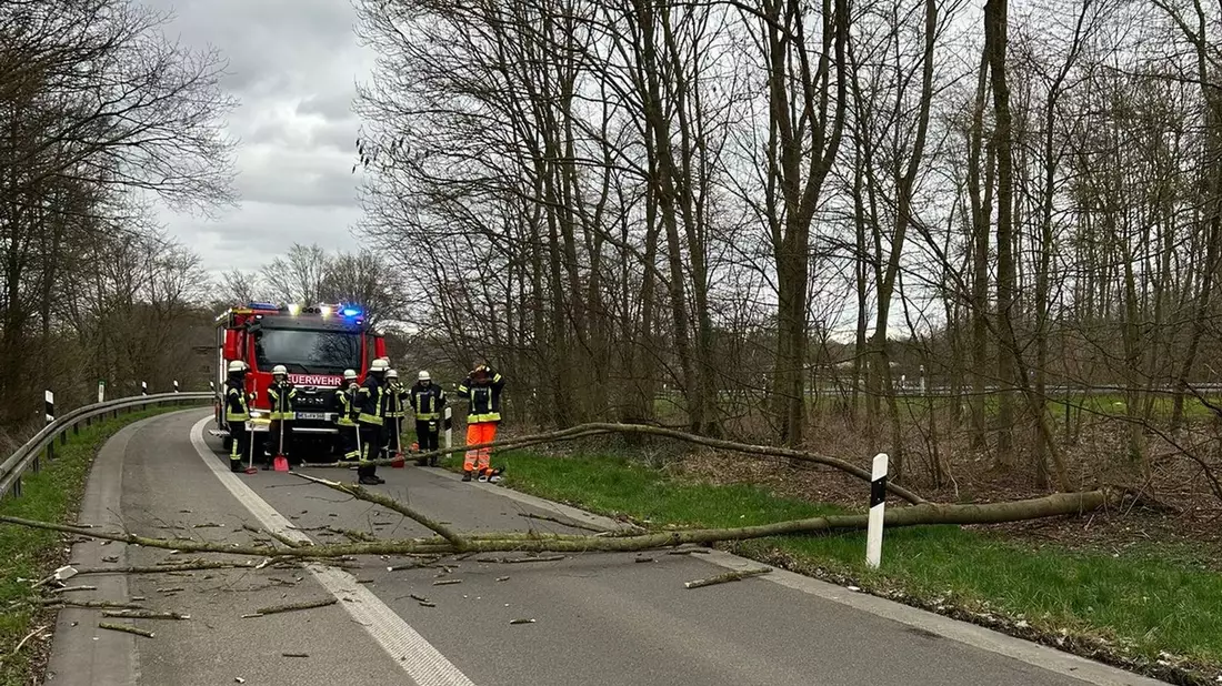 FW Sonsbeck: Umgestürzter Baum in der Zufahrt zur A57 - Bild: presseportal.de