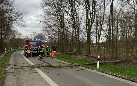FW Sonsbeck: Umgestürzter Baum in der Zufahrt zur A57 - Foto: presseportal.de