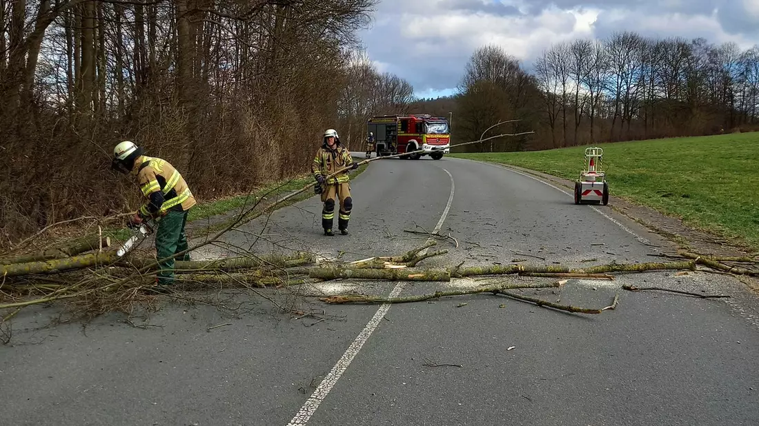 FW-EN: Katzenrettung und umgefallener Baum am Samstag - Bild: presseportal.de