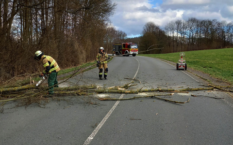 FW-EN: Katzenrettung und umgefallener Baum am Samstag - Foto: presseportal.de