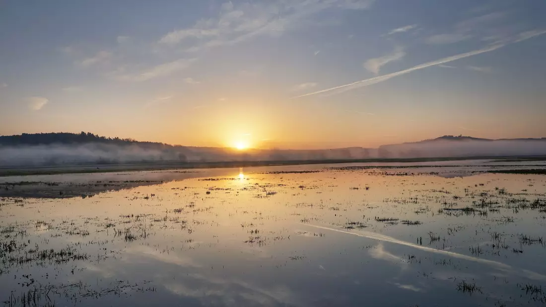 Sonnig wird es in weiten Teilen Deutschlands.  - Bild: Thomas Warnack/dpa