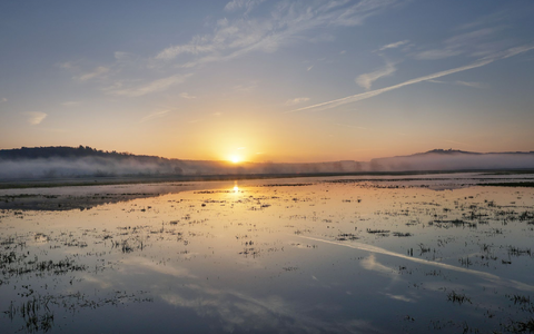 Sonnig wird es in weiten Teilen Deutschlands.  - Foto: Thomas Warnack/dpa