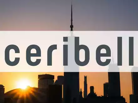 Ceribell Aktie: Suche nach Boden - Foto: über boerse-global.de