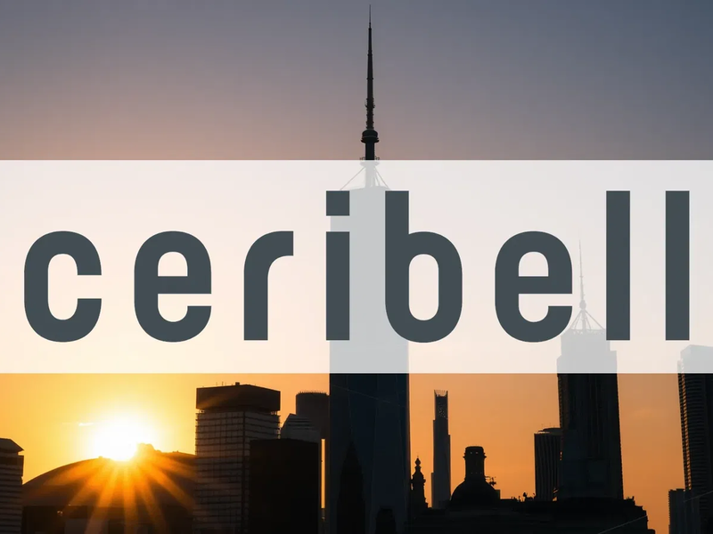 Ceribell Aktie: Suche nach Boden - Foto: über boerse-global.de