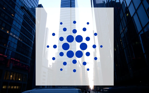 Cardano: Los grandes inversores aprovechan la corrección para acumular - Foto: über boerse-global.de