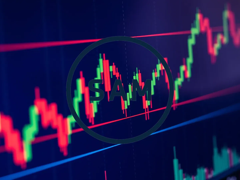 Surf Air Mobility Aktie: Fokus auf Sektortrends - Foto: über boerse-global.de