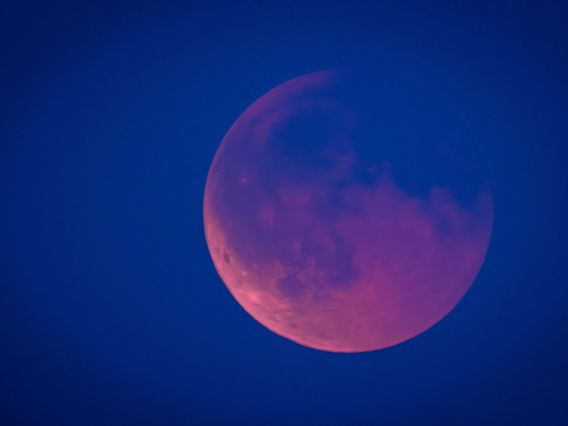 Es wird eine Mondfinsternis erwartet. (Archivbild) - Foto: Jens Büttner/dpa