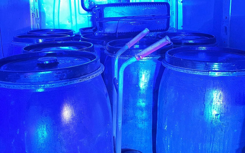 POL-SO: Täter machen fette Beute - Foto: presseportal.de