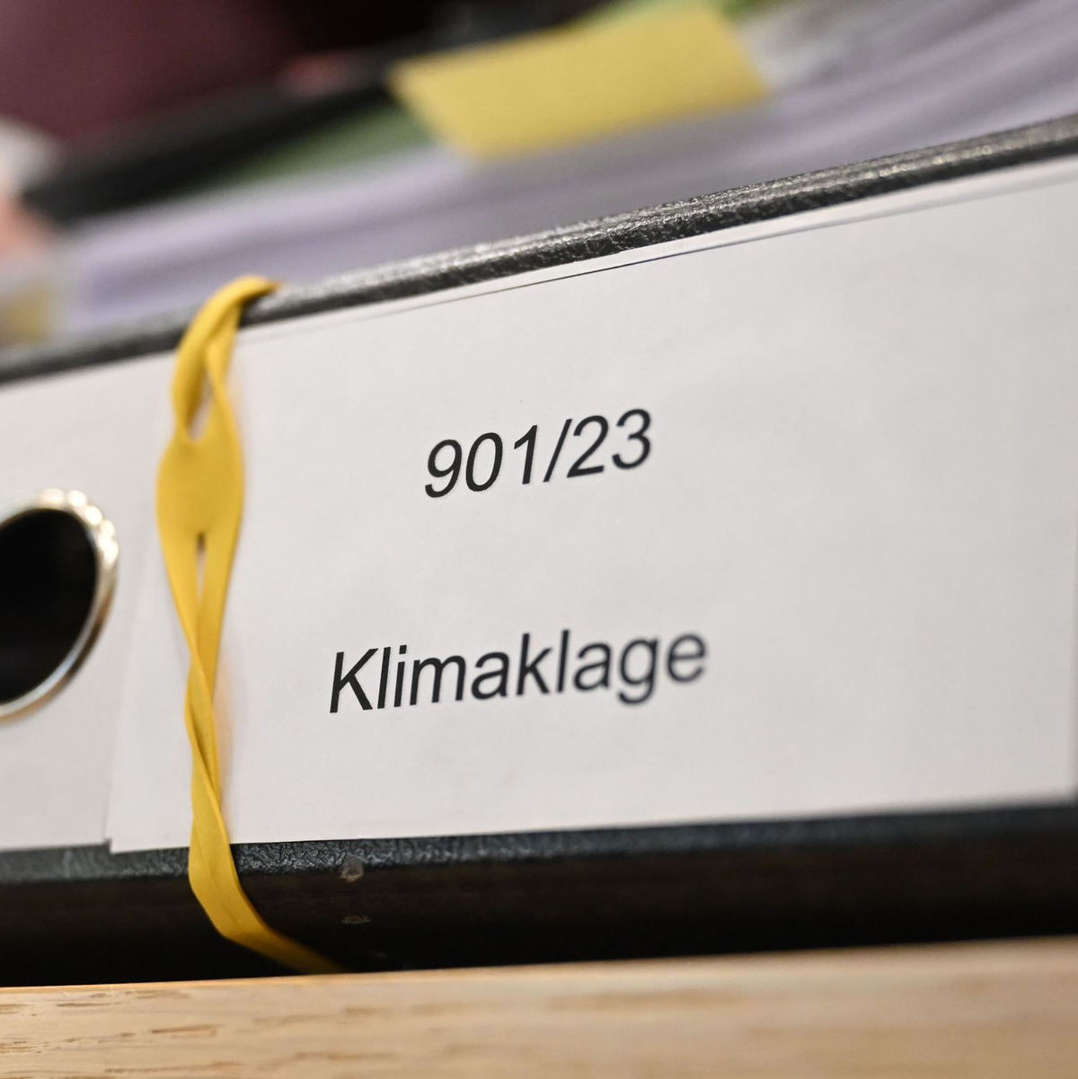 Mit Klimaklagen will die Umwelthilfe die Autobauer zum Verbrenner-Aus bringen.  - Foto: Uli Deck/dpa