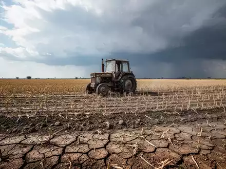 iShares Agribusiness ETF: Herausforderndes Marktumfeld - Foto: über boerse-global.de