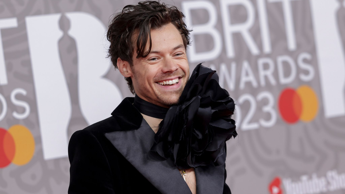 Harry Styles meldet sich mit Album, Tournee und Konzertfilm zurück. (Archivbild) - Foto: Vianney Le Caer/AP/dpa