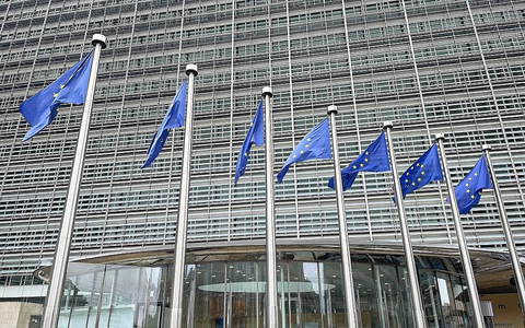 EU-Fahnen (Archiv) - Foto: via dts Nachrichtenagentur