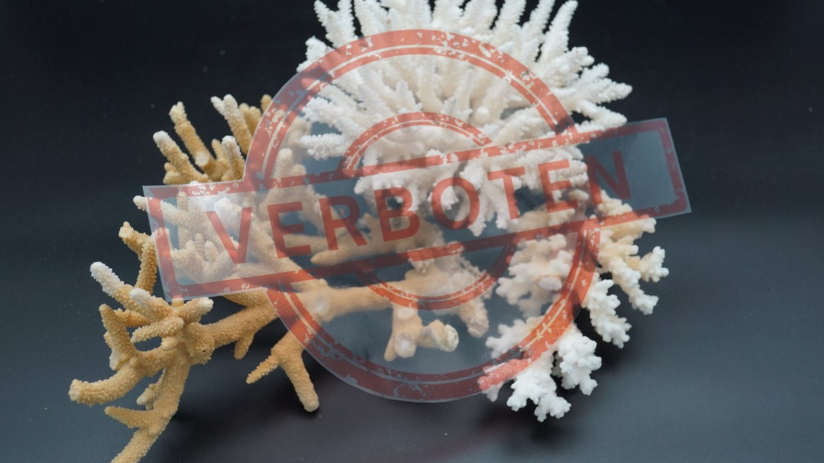 HZA-A: Zoll hilft bedrohte Tiere und Pflanzen zu schützen / 3. März 2026: Tag des Artenschutzes - Foto: presseportal.de