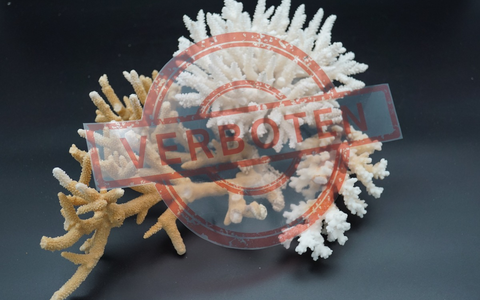 HZA-A: Zoll hilft bedrohte Tiere und Pflanzen zu schützen / 3. März 2026: Tag des Artenschutzes - Foto: presseportal.de