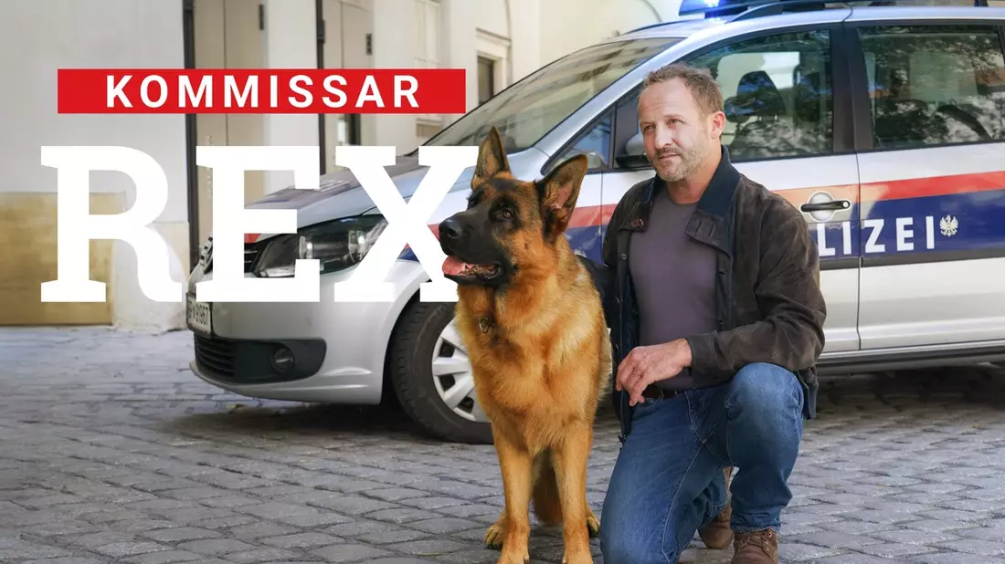 Rex Maximilian Brückner Kommissar Rex - Bild: SAT.1/ORF/Petro Domenigg, presseportal.de