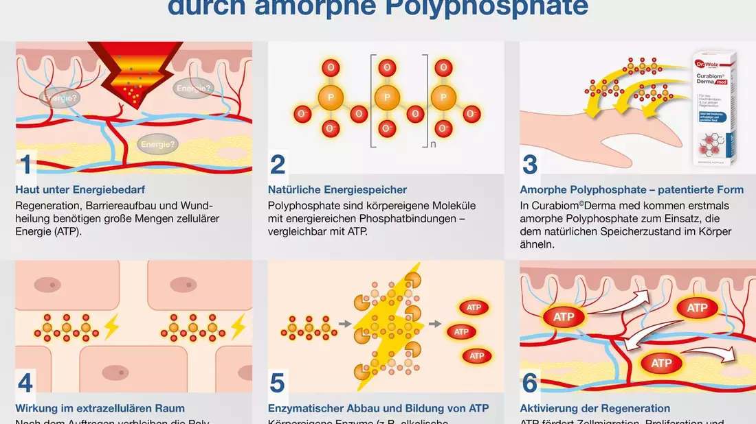 Neuer Wirkstoff versorgt Haut mit Energie / Amorphe Polyphosphate unterstützen Hautregeneration - Bild: presseportal.de