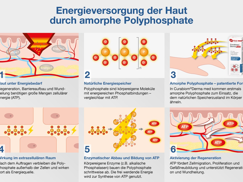 Neuer Wirkstoff versorgt Haut mit Energie / Amorphe Polyphosphate unterstützen Hautregeneration - Foto: presseportal.de