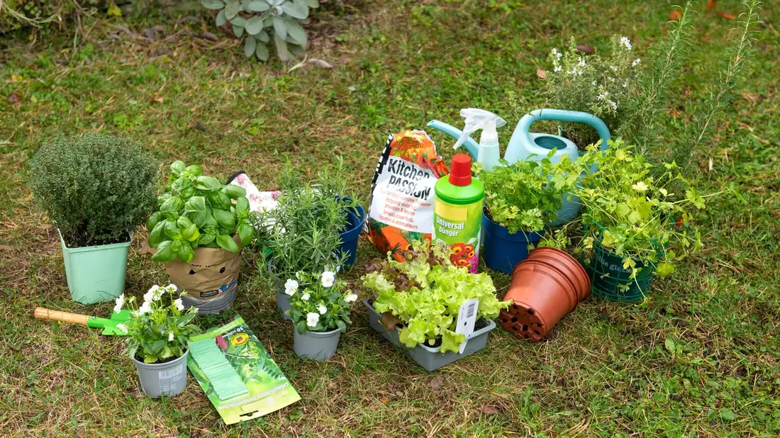 Tipps zur Gartensaison: Pflanztöpfe, Verpackungen und andere Gartenabfälle richtig entsorgen - Bild: presseportal.de