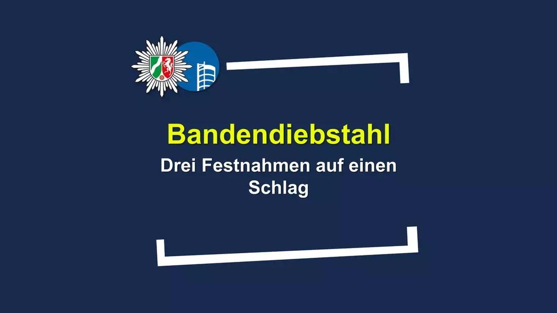 POL-OB: Gemeinsamer Bandendiebstahl - drei Festnahmen auf einen Schlag - Bild: presseportal.de