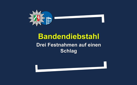 POL-OB: Gemeinsamer Bandendiebstahl - drei Festnahmen auf einen Schlag - Foto: presseportal.de
