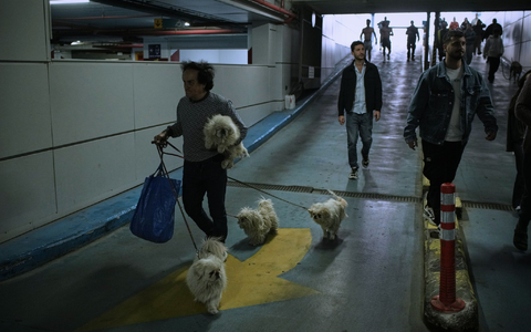 Auch in Israel gab es wieder Raketenalarm - und Verletzte durch Trümmerteile. - Foto: Leo Correa/AP/dpa