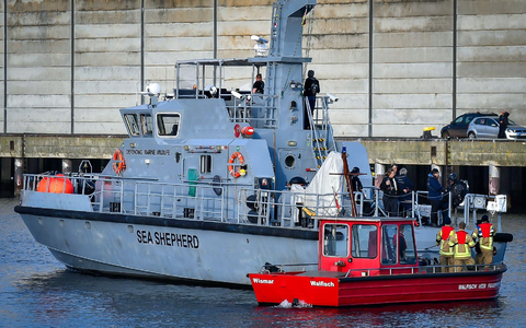 Die Meeresschutz-Organisation Sea Shepherd fuhr mit einem Schiff zu dem Wal. - Foto: Tom Schultz/WISMAR.FM/dpa