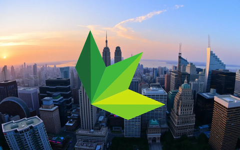 Danimer Scientific Aktie: Das Ende - Foto: über boerse-global.de