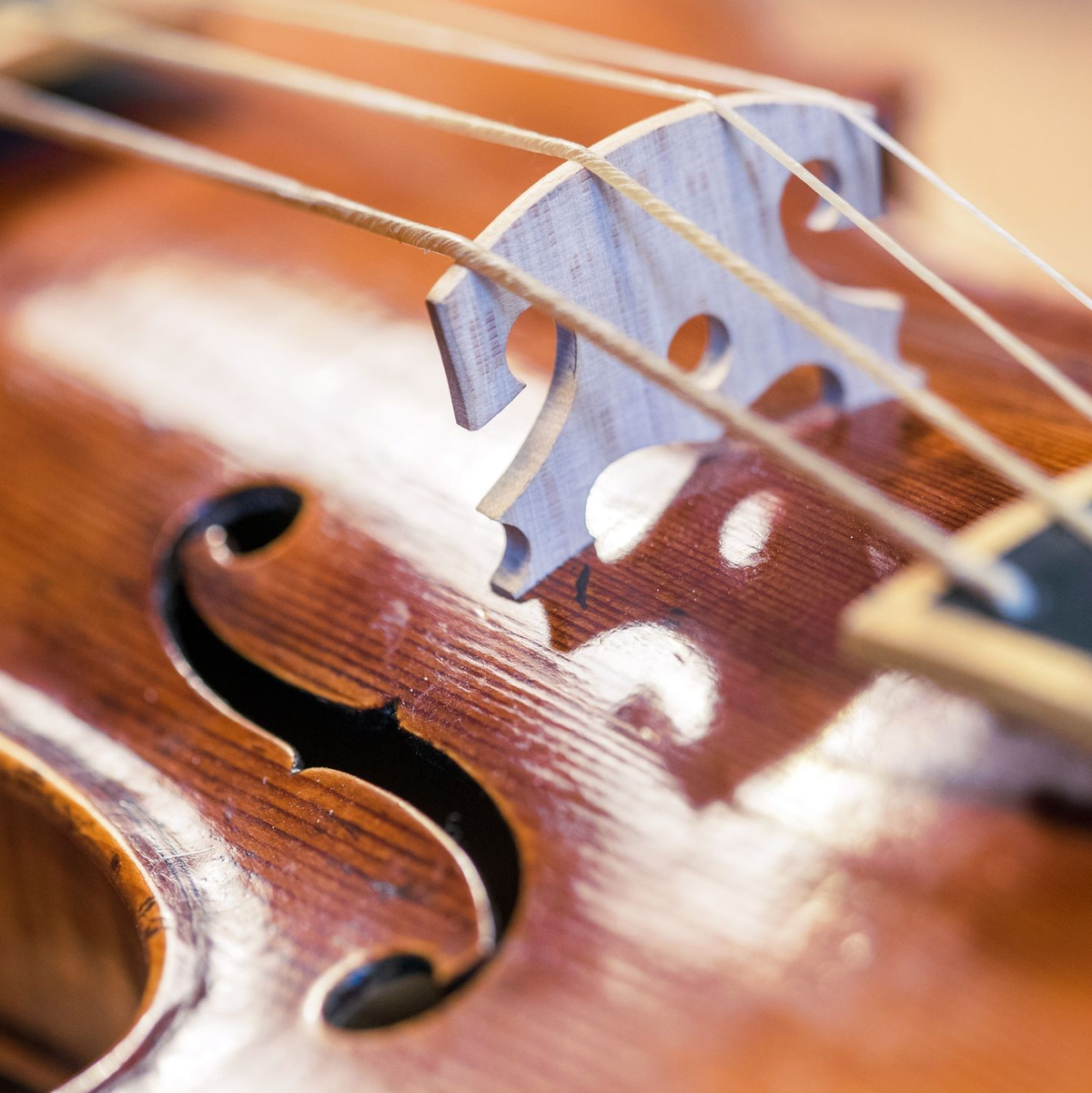 Mehr Platz für Musik: Lufthansa erlaubt ab März Musikinstrumente mit einem Summenmaß von maximal 125 Zentimetern in der Kabine. (Symbolbild) - Foto: picture alliance / Jens Büttner/dpa-Zentralbild/ZB