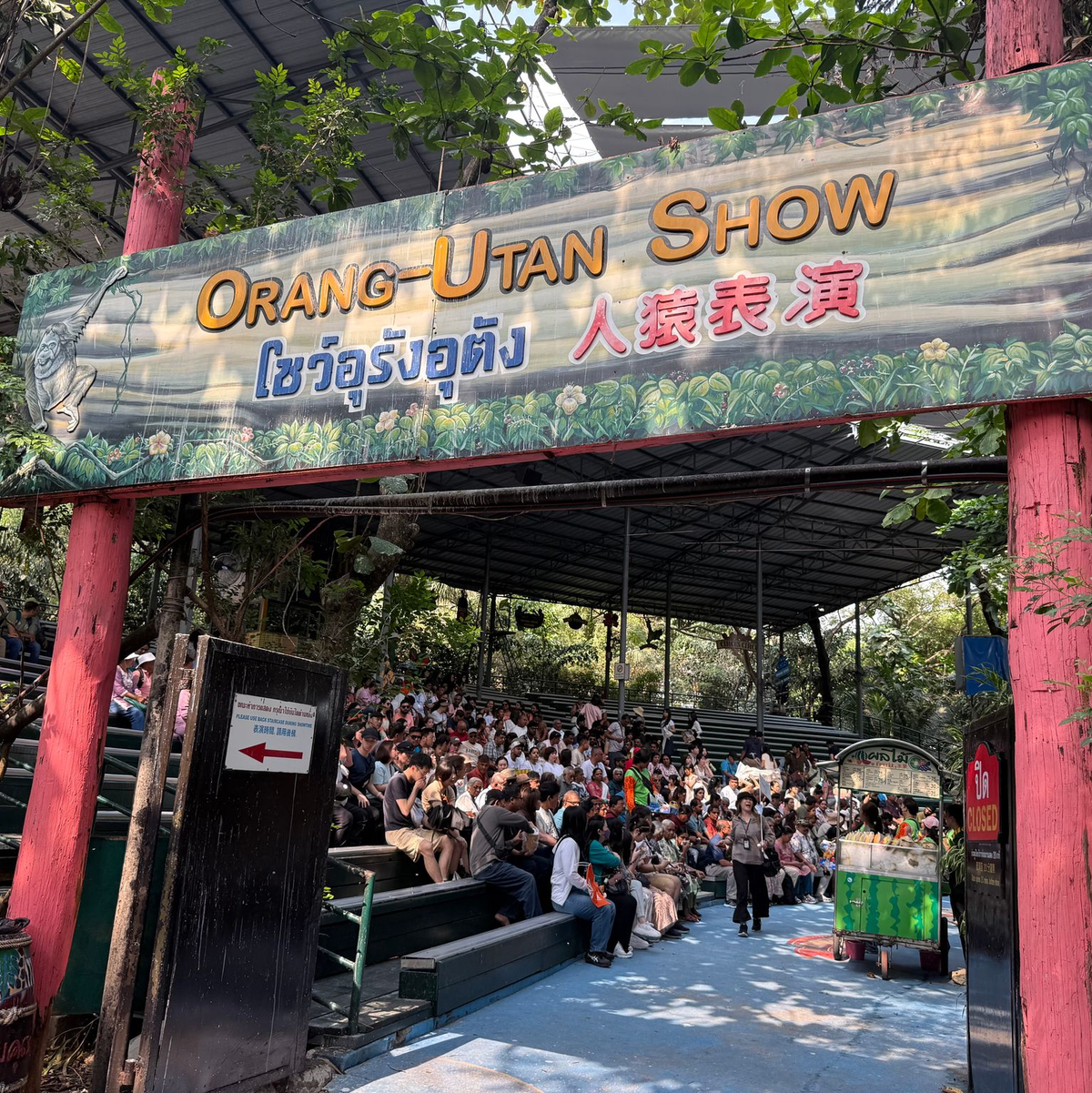 Die Orang-Utan-Shows sind weiter beliebt. - Foto: Carola Frentzen/dpa