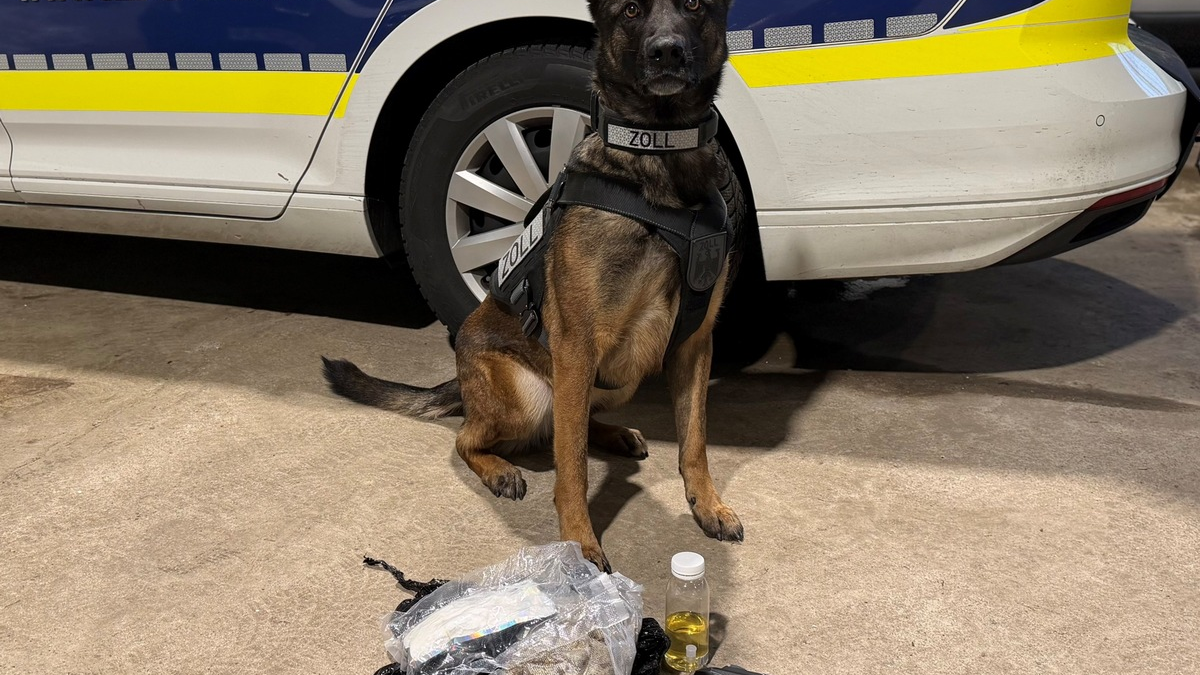 HZA-BI: Kokain in Kissen versteckt/Zollhündin 