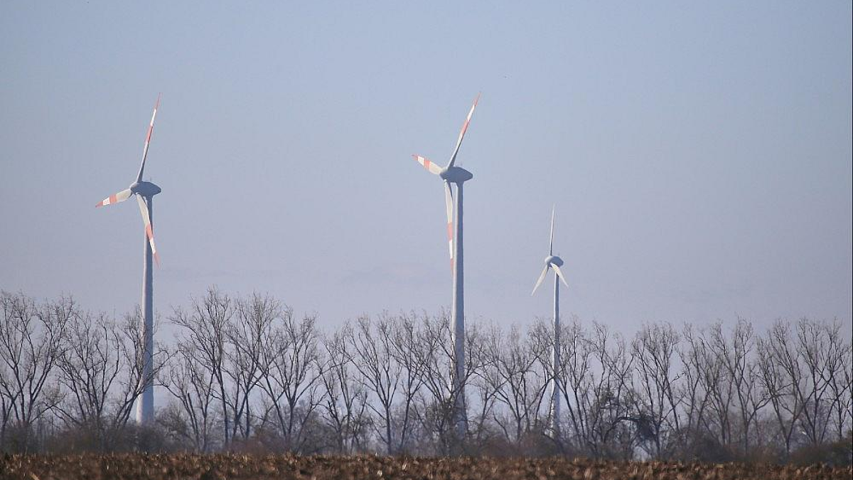 Windräder (Archiv) - Foto: via dts Nachrichtenagentur
