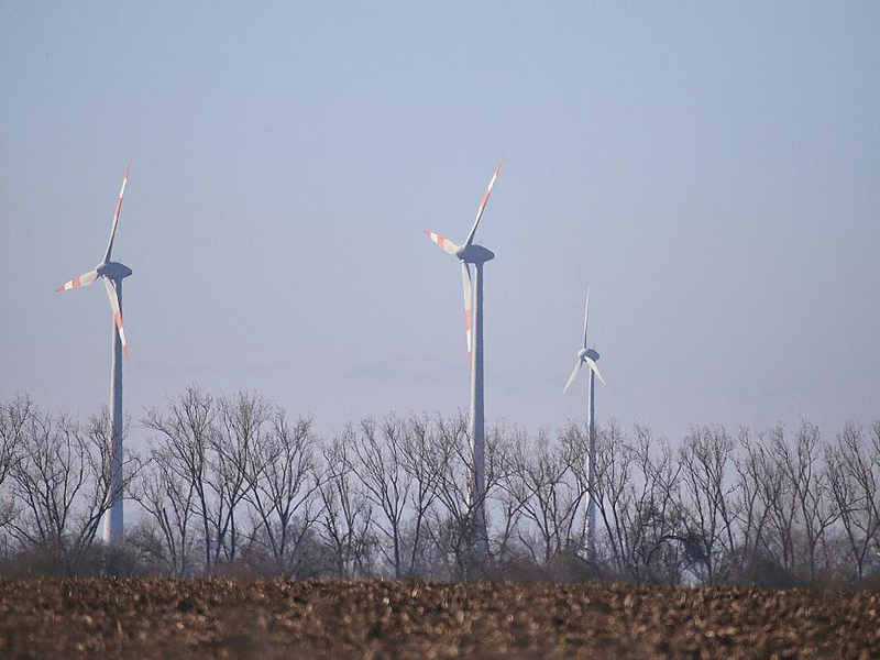 Windräder (Archiv) - Foto: via dts Nachrichtenagentur